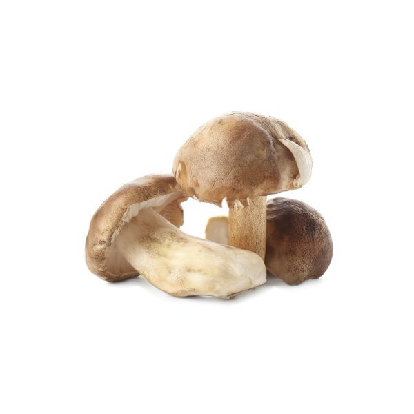 Cogumelo Cep Desidratado