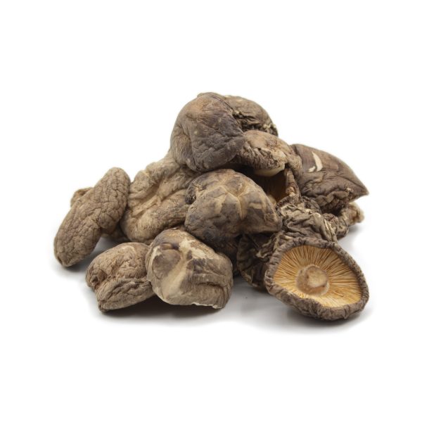 Cogumelo Eryngii Desidratado